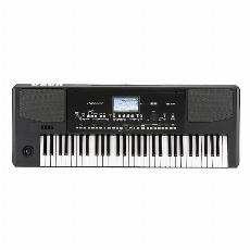 ارنجر کرگ Korg PA300