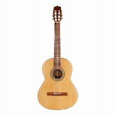 گیتار پارسی P70
