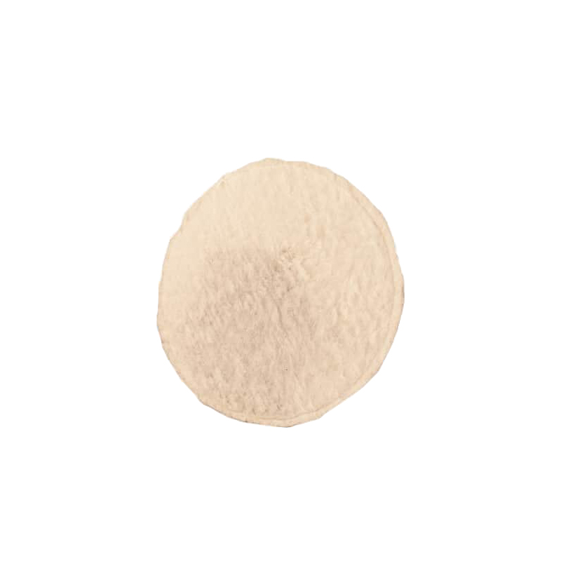 Colorlib Template