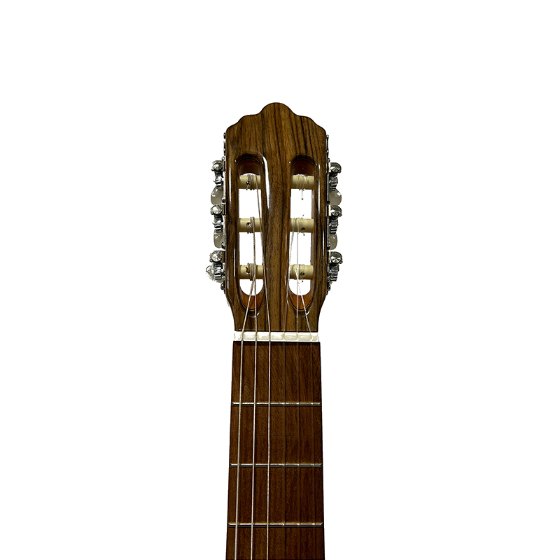 گیتار کلاسیک دوریس Doris D2