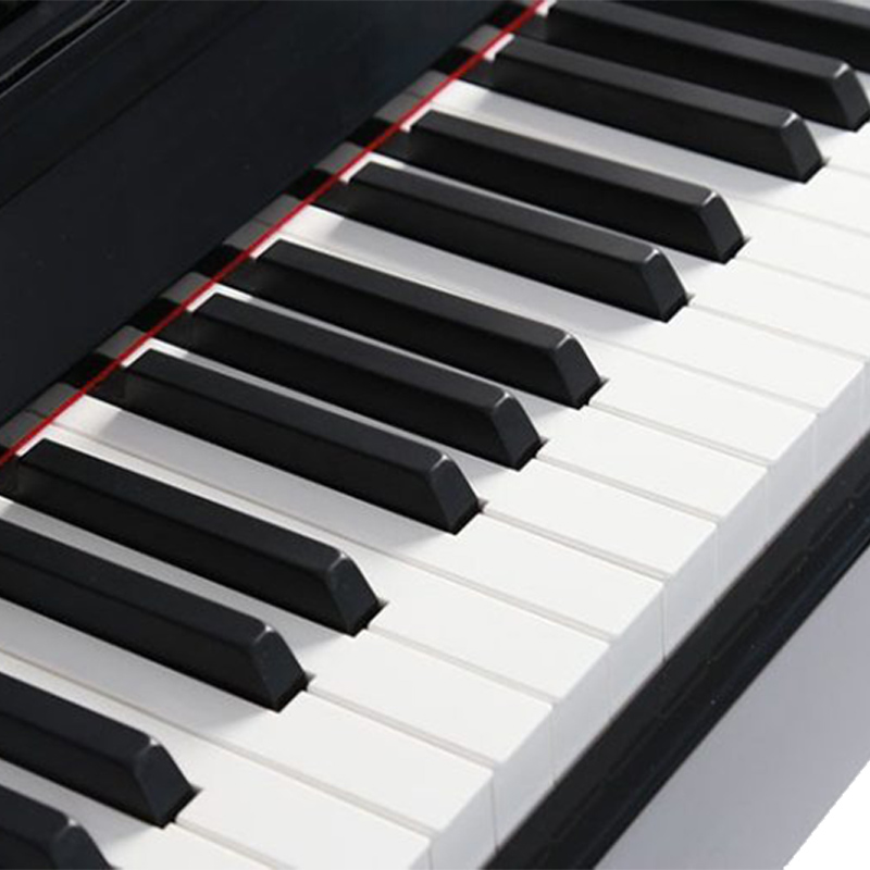 پیانو دیجیتال اشتاینر DP-800