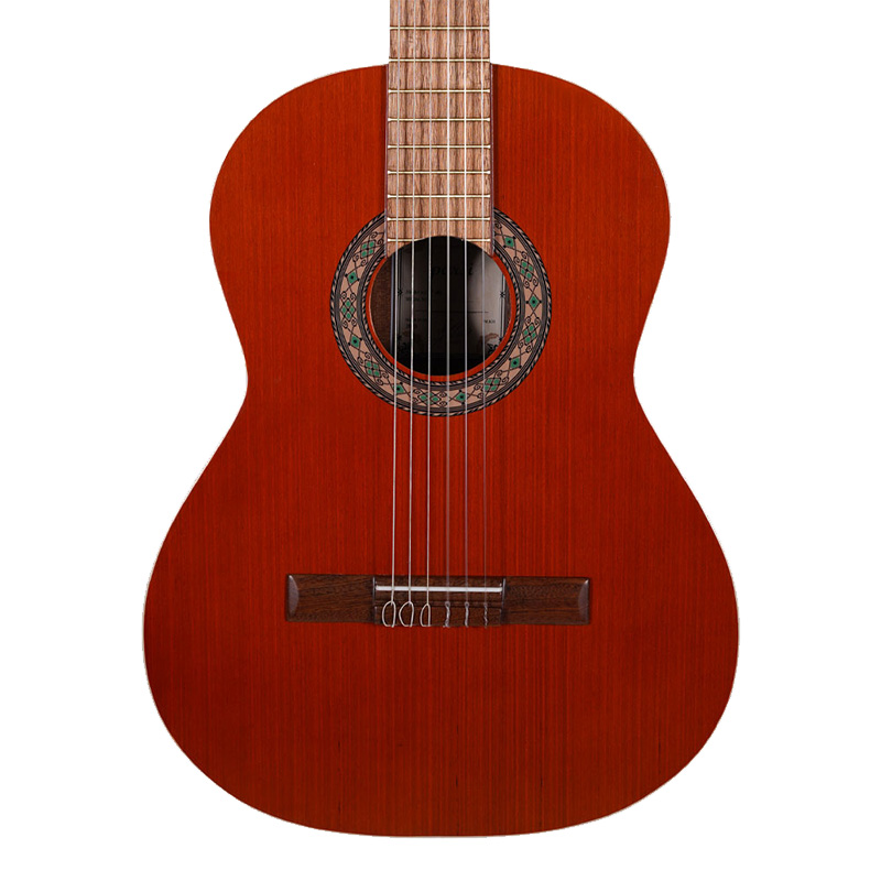 گیتار پارسی P40