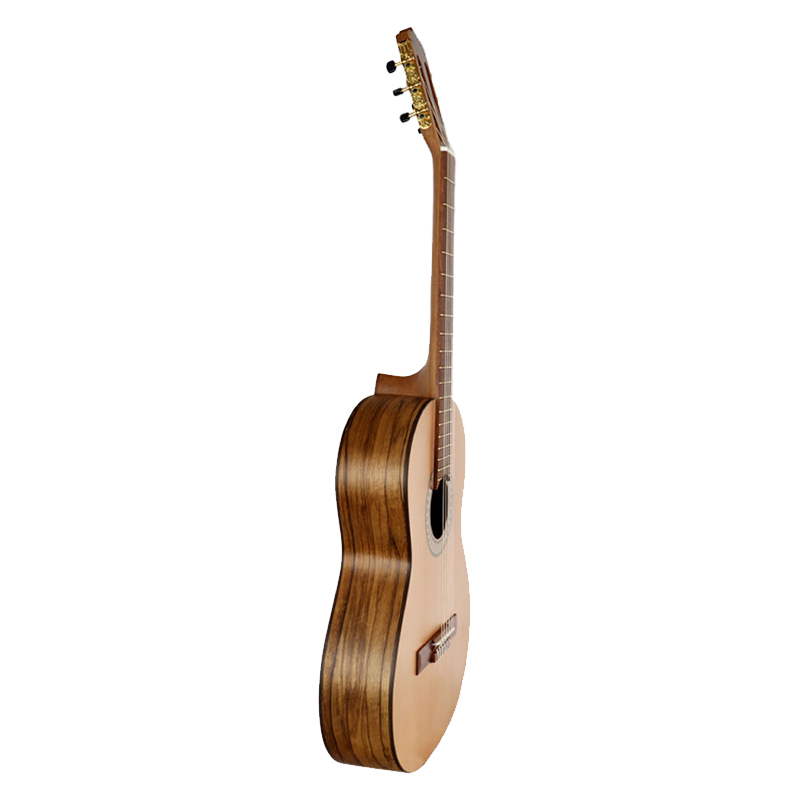 گیتار پارسی P70