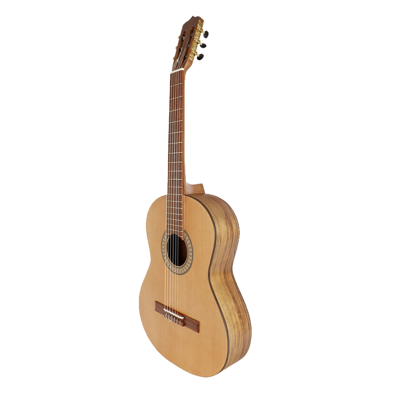 گیتار پارسی P70