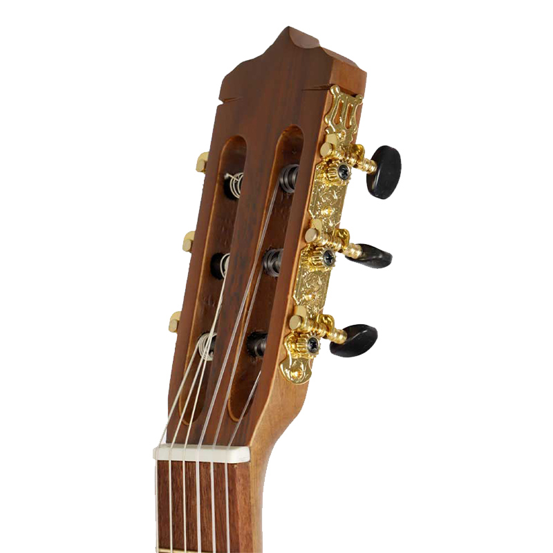 گیتار پارسی P70